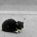 ◢︻习惯了︻◣一个人