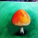 ╰、思思泡蘑菇ˇ一①