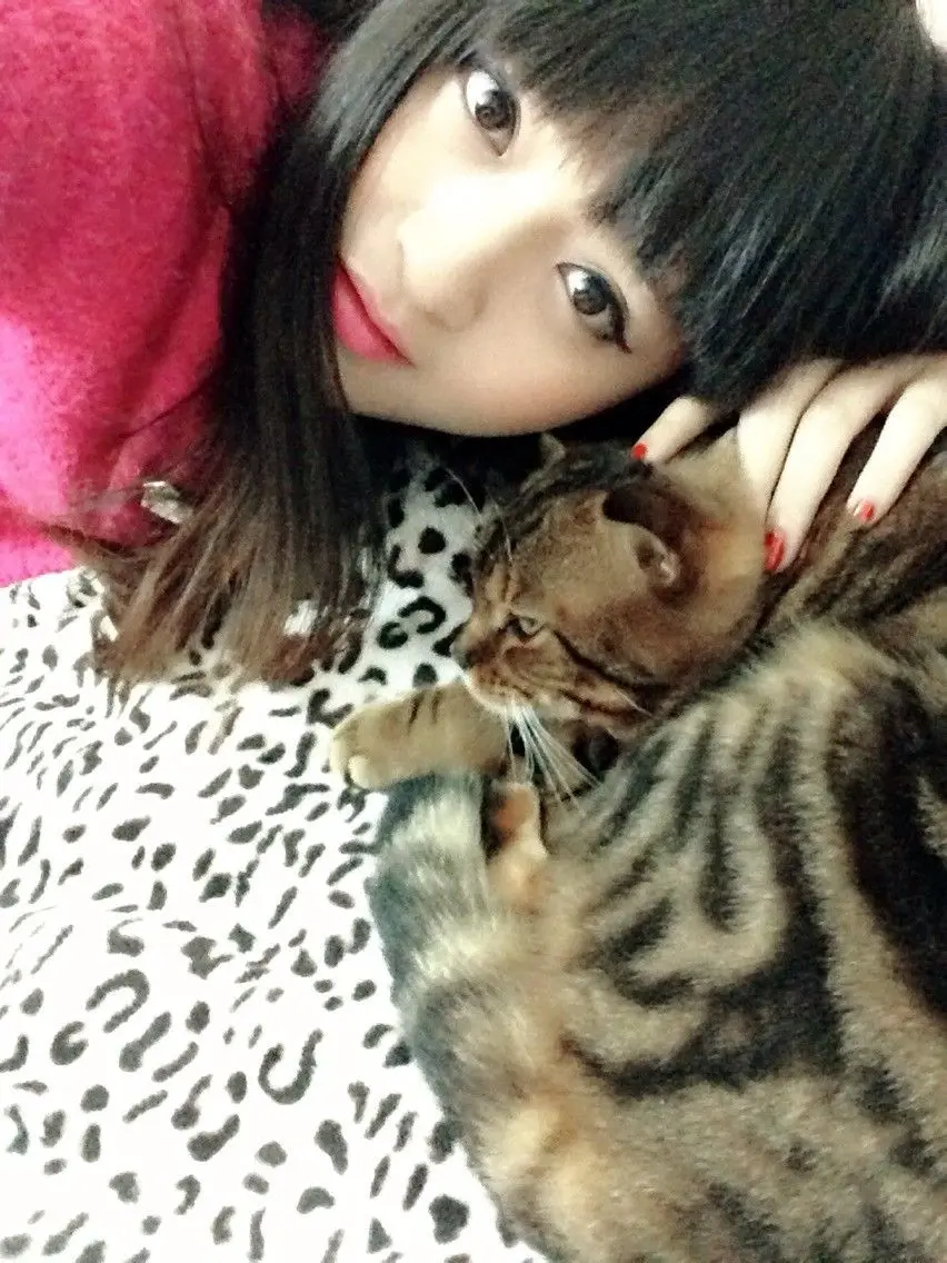 ◕‿-｡艾猫儿的主播照片