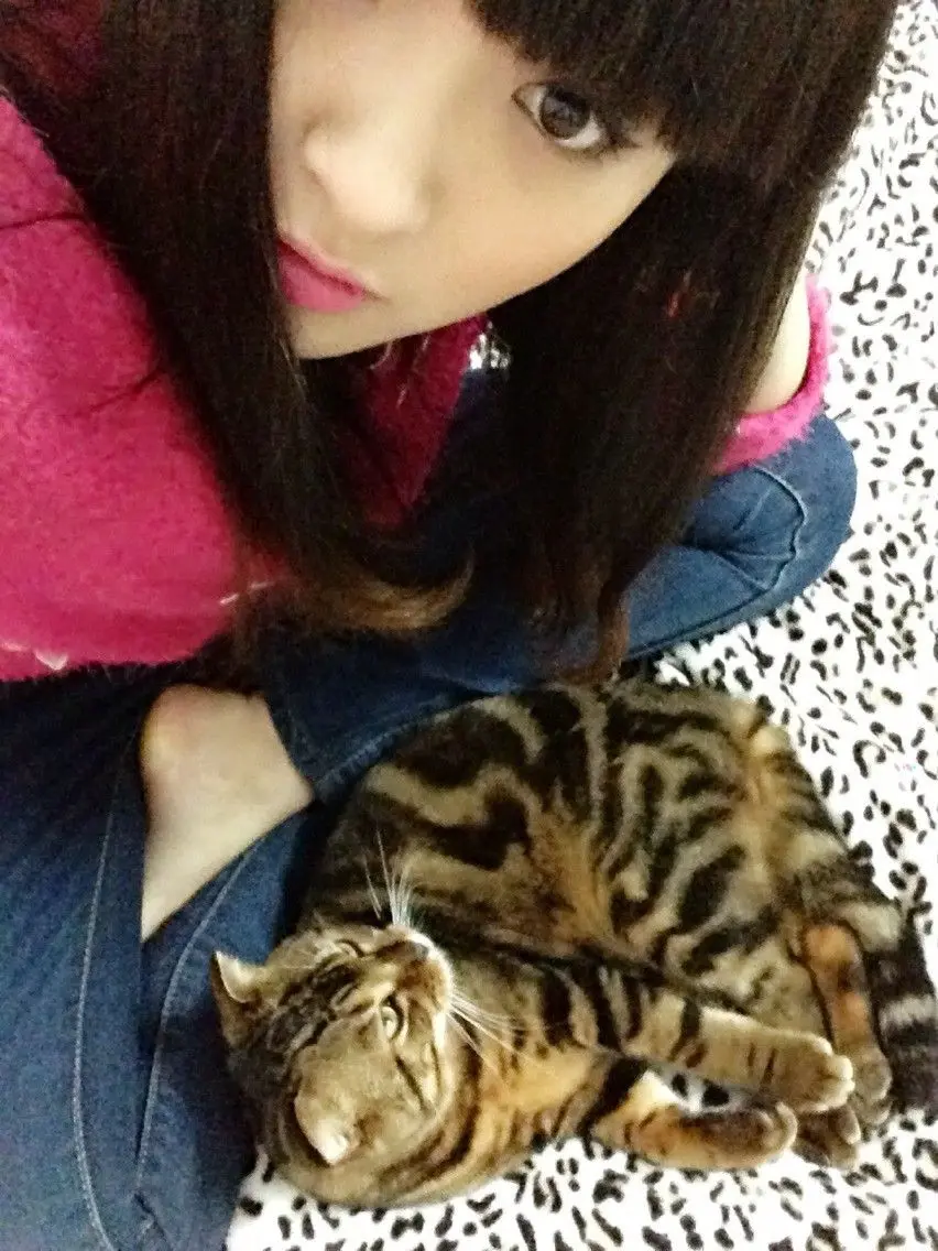 ◕‿-｡艾猫儿的主播照片