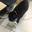 ゞ♥一個笨小孩゛❀