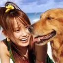 犬如意..