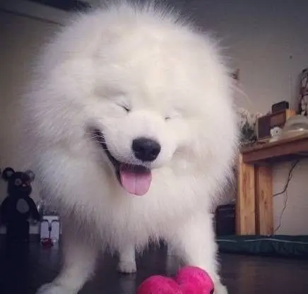 ✿゛丹ゞ宝的主播照片