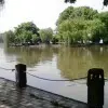温柔的狼不吃羊