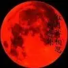 萌萌守护神