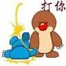 开心秋雨的主播照片