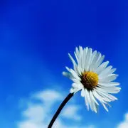 二皆堂，出云