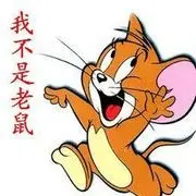 -我不是老鼠