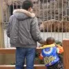 -関亍莪們