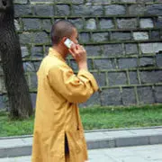 小和尚下山来看看