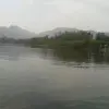 顺其自然*fm