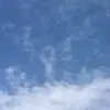 仁者，无畏