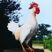犯溅有瘾