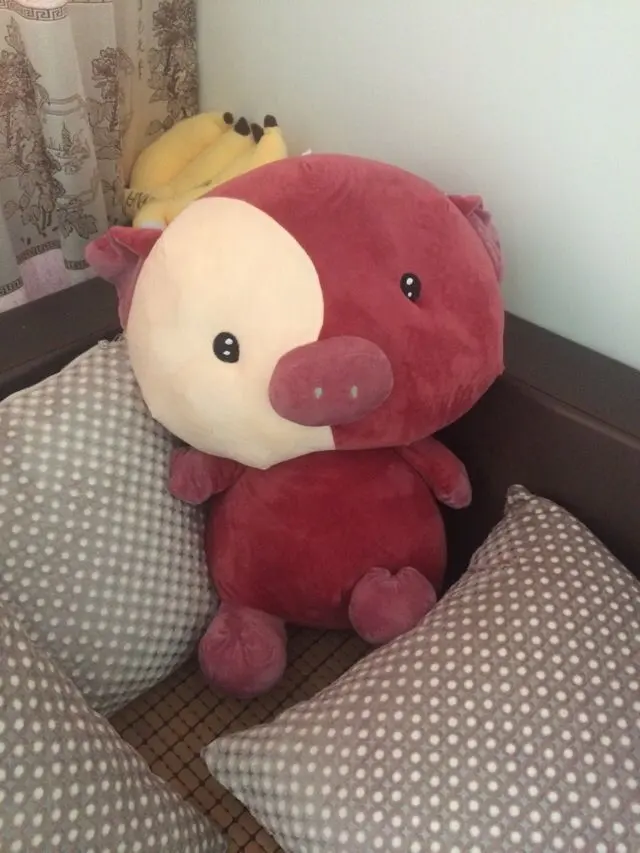 ❤小宝❤么么哒！的主播照片