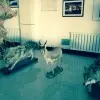 爱茹一辈子