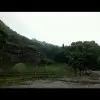 雪地黑狼h
