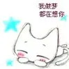 我旳真心换不回爱情