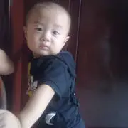 情兽不会调情