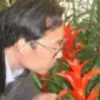 我爱你、女神