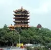 袁大头6