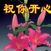 (◕‿◕)。路过