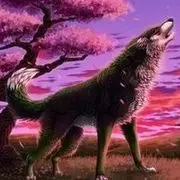 ★秋天里的♥狼