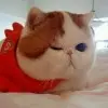 χˊ;贼公┌.x