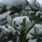 虚@拟