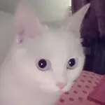ジ独自等候づ