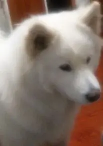 曲终：人散的主播照片