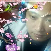 美丽de凤凰