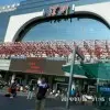 ：龙之吻13
