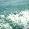 爱无赦m