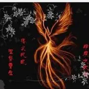 凤凰使者