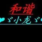 ⊹⊱⋛小龙⋚⊰⊹