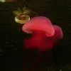 梦一场g
