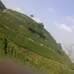 甲午初春