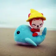 か小海豚か