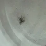 熊孩纸。。。
