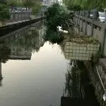 Q飘逸