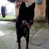 蘑菇街7