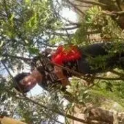 罗小杉123