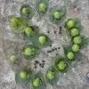昵称违规，请重新修改