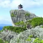 八脚鱼章鱼