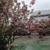 心的开始g