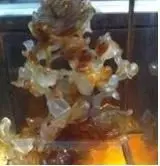 艾多菲$放纵的灵魂的主播照片