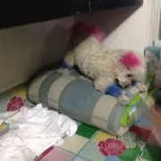 没有关系灬