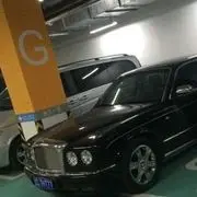 我恋花
