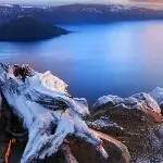 V||シ酱油团坚强