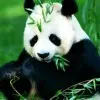 劳资单身谁怕谁